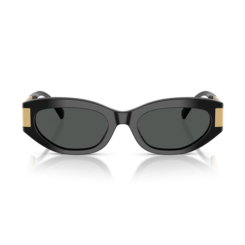 VE4501 GB1/87 Shiny Black/Grey