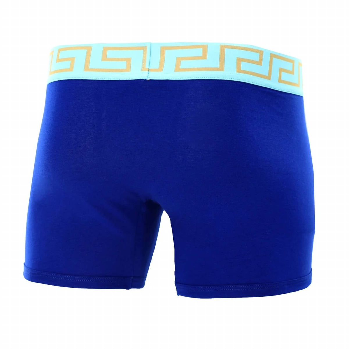 Men's Long Trunk With Greca In Bluette+Splash