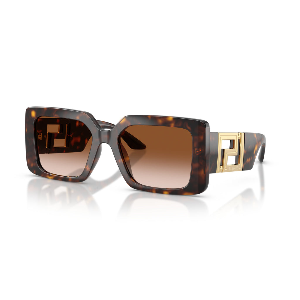 0ve4505u Oversized Square Frame Sunglasses