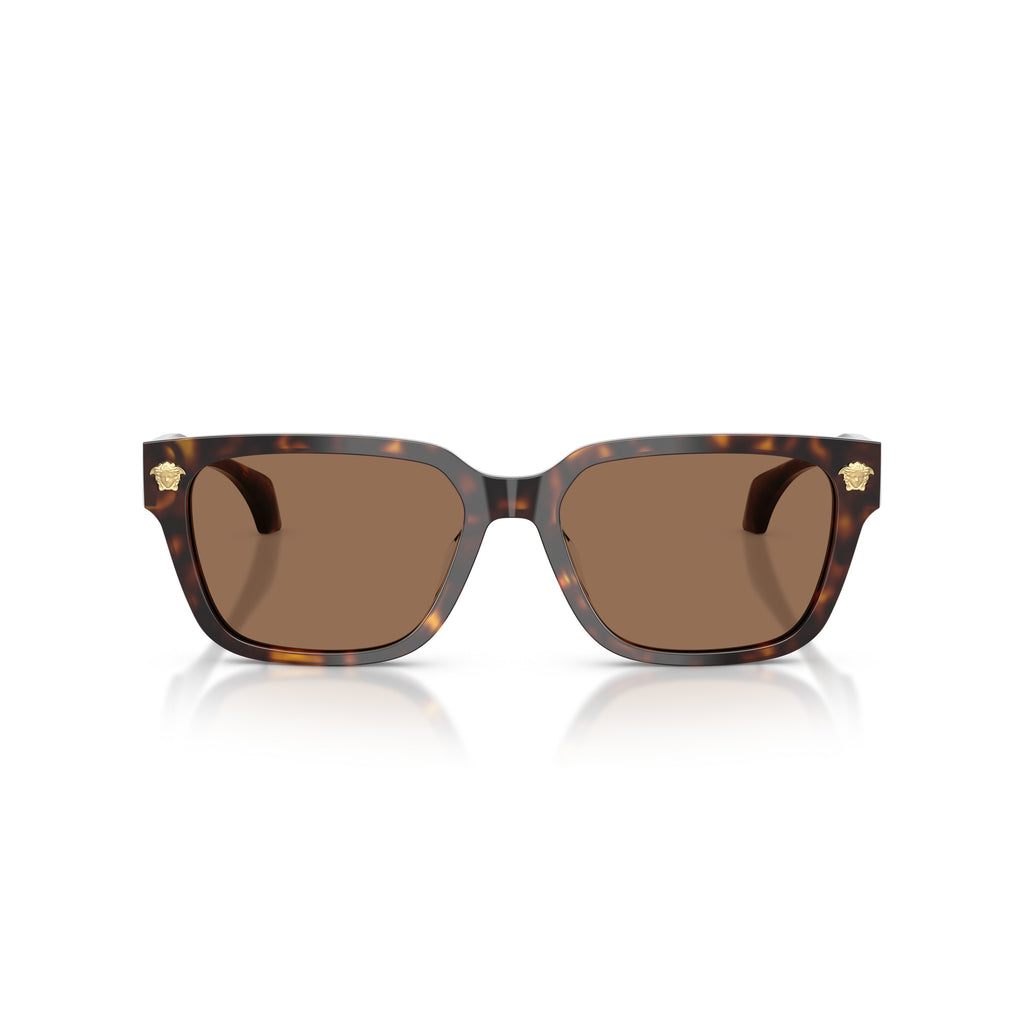 0ve4513d Rectangular Tortoiseshell Acetate Sunglasses