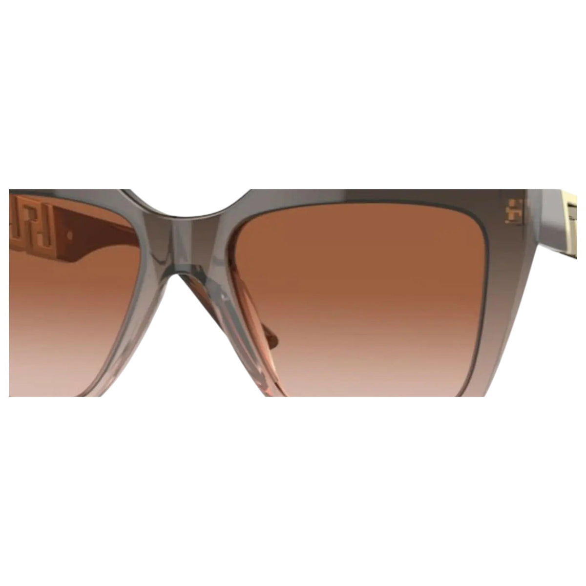 Versace La Greca Sunglasses in Brown Transparent/Gradient Beige | Women