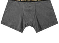 Men's Long Trunk With Greca Border In Grey/gold