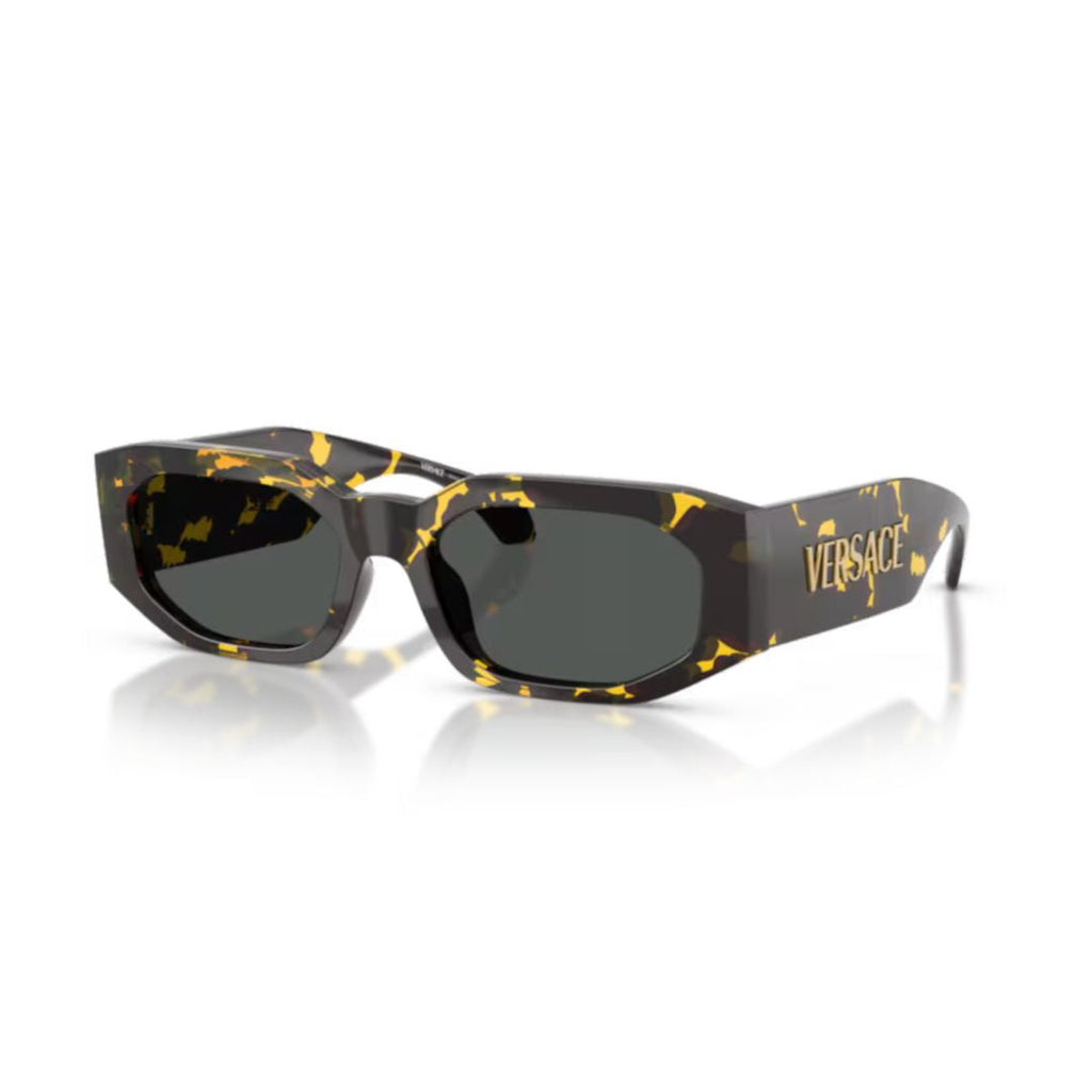 0ve4489u Bold Rectangular Sunglasses