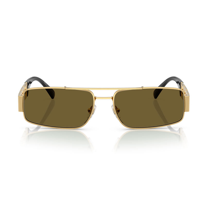 VE2257 100273 Shiny Gold/Brown