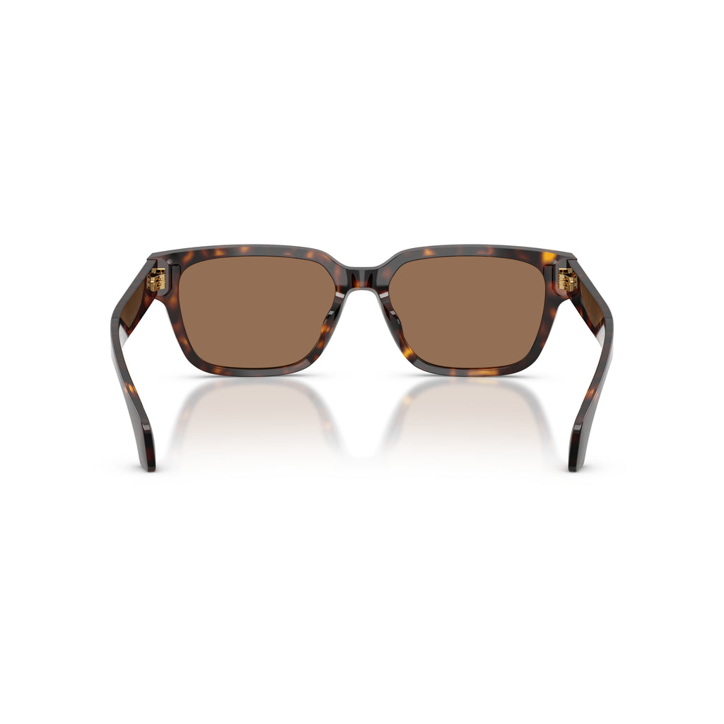 0ve4513d Rectangular Tortoiseshell Acetate Sunglasses