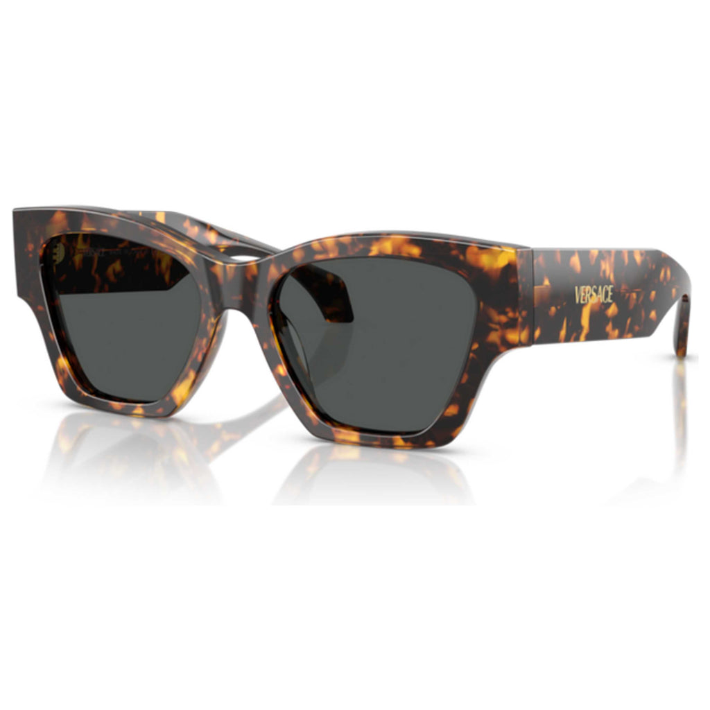 Versace Women's 53mm Sunglasses VE4492U-551487-53