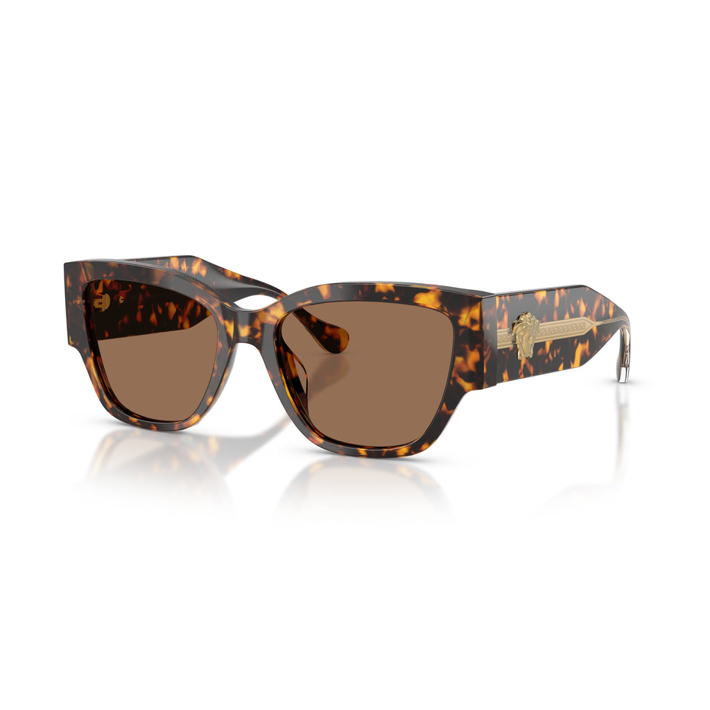 0ve4509u Oversized Tortoiseshell Acetate Sunglasses