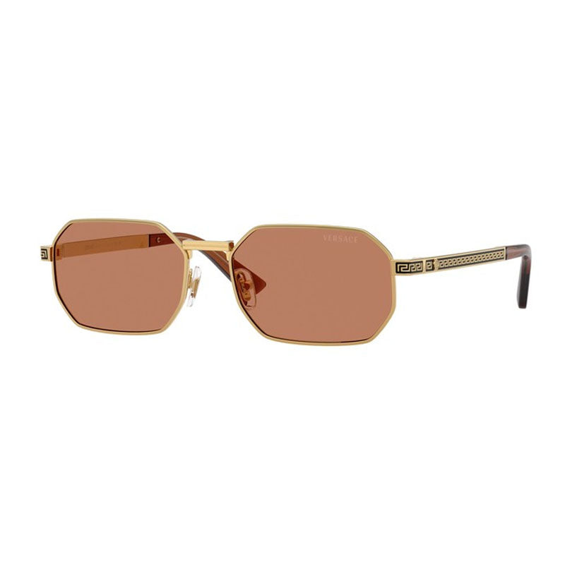 VE2297 100273 Gold/Brown