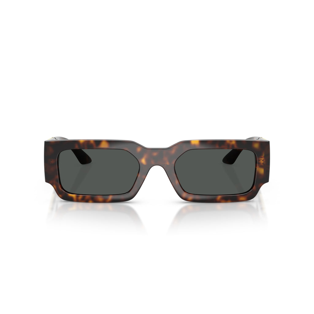 0ve4506u Tortoiseshell Sunglasses