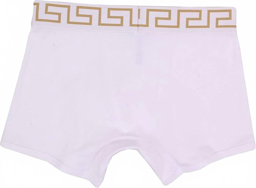 Men's Iconic Long Trunk In White/gold