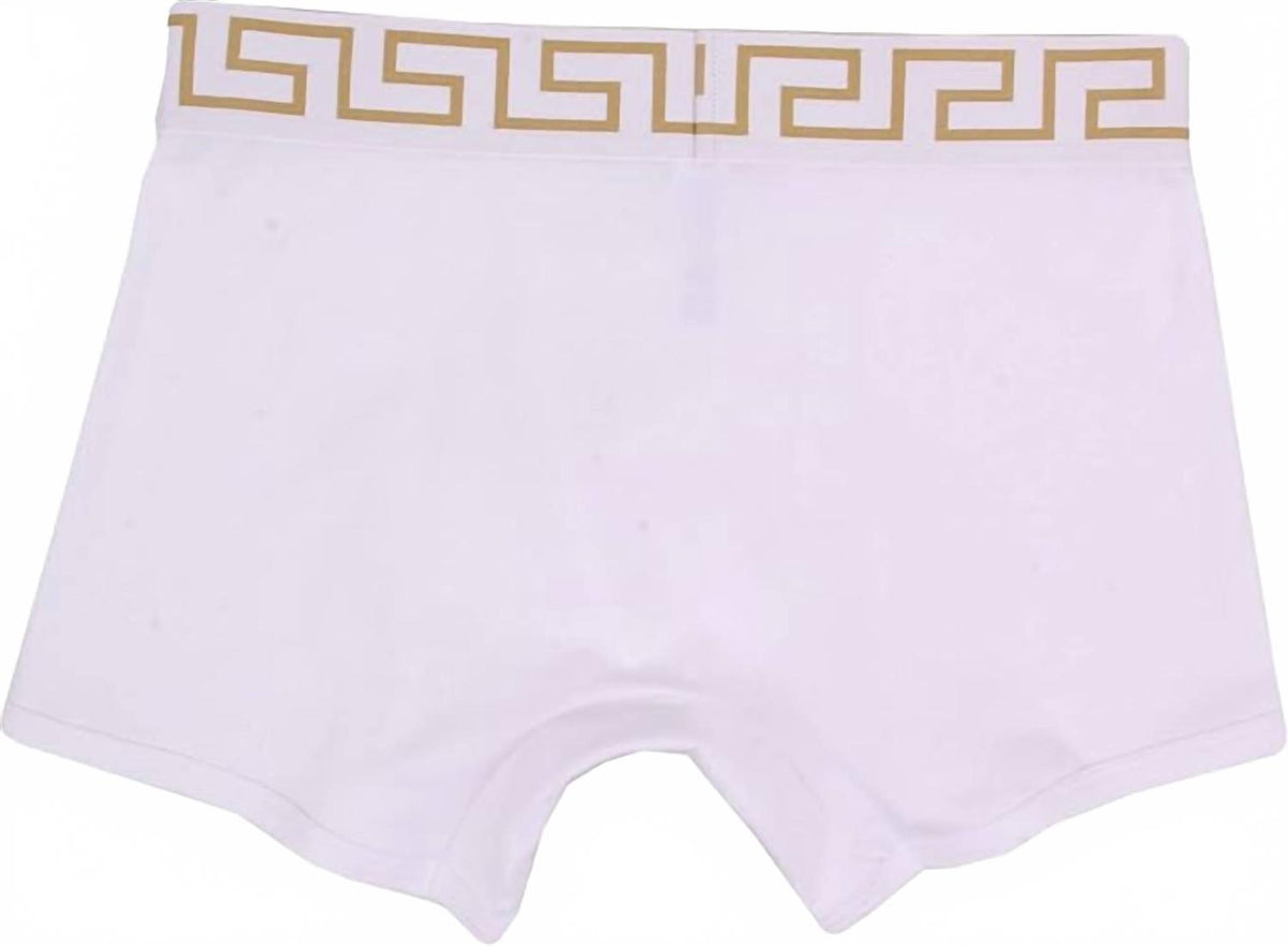 Men's Iconic Long Trunk In White/gold