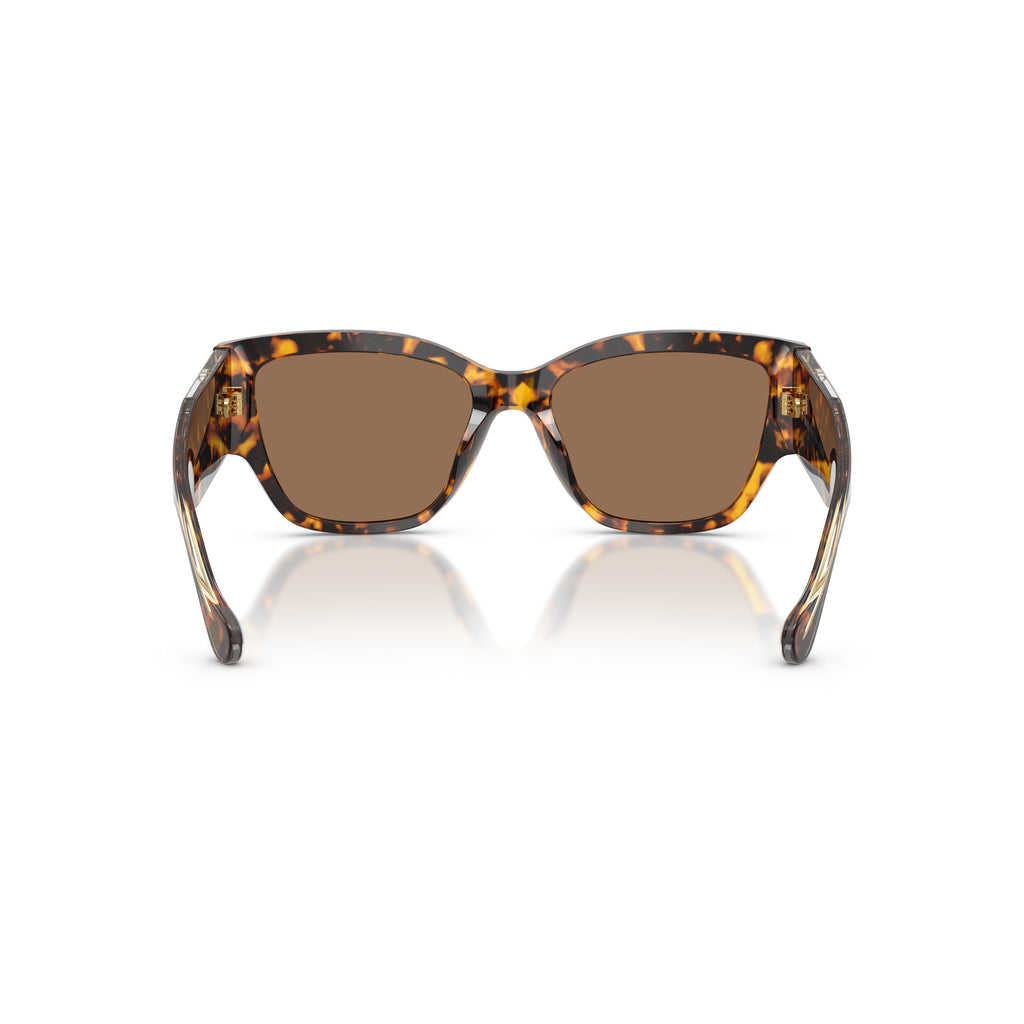0ve4509u Oversized Tortoiseshell Acetate Sunglasses
