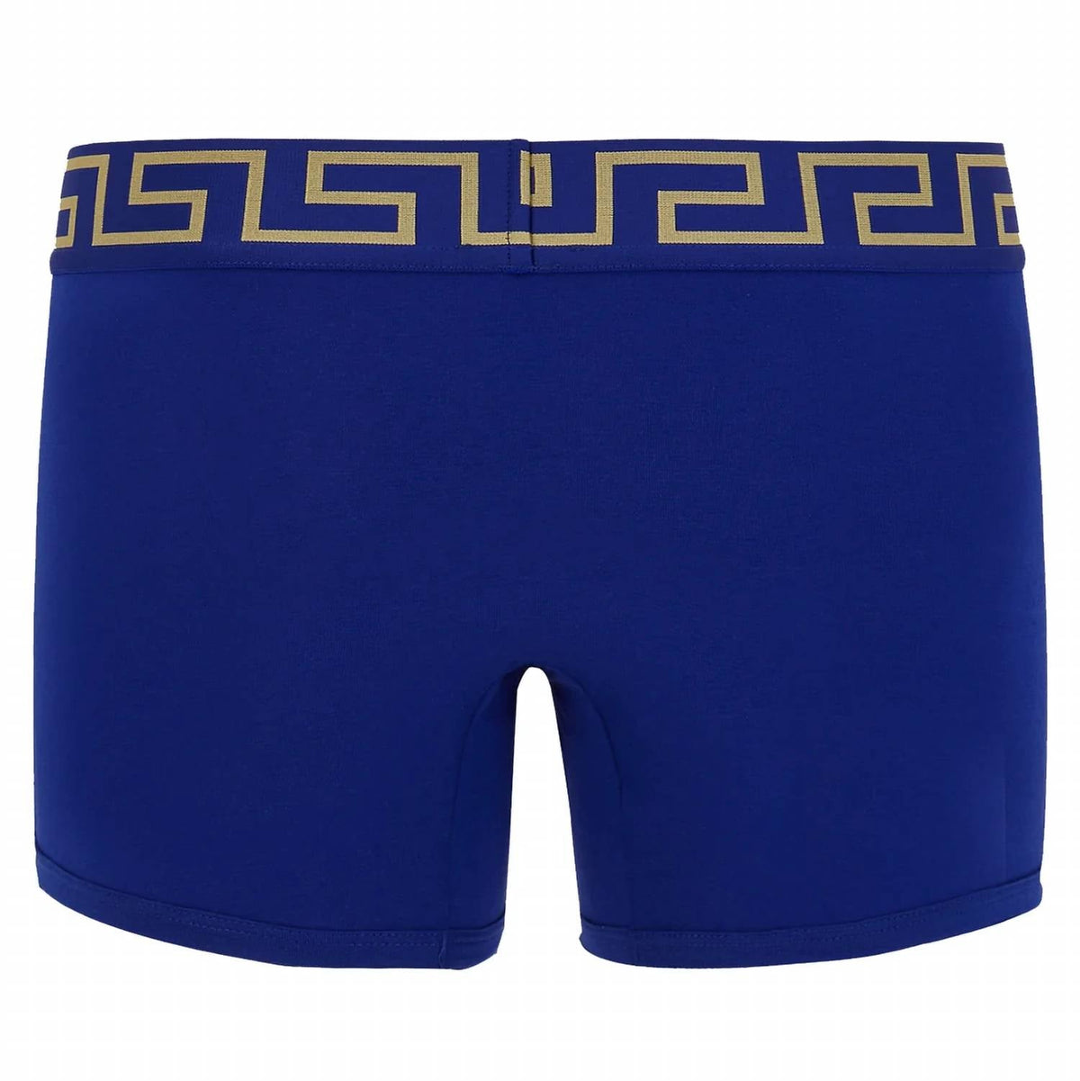 Men's Long Trunk With Greca Border In Blue