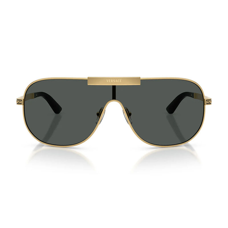 VE2293 1002/87 Gold/Grey