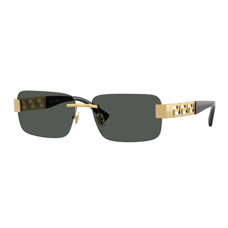 VE2298 100287 Gold/Dark Grey