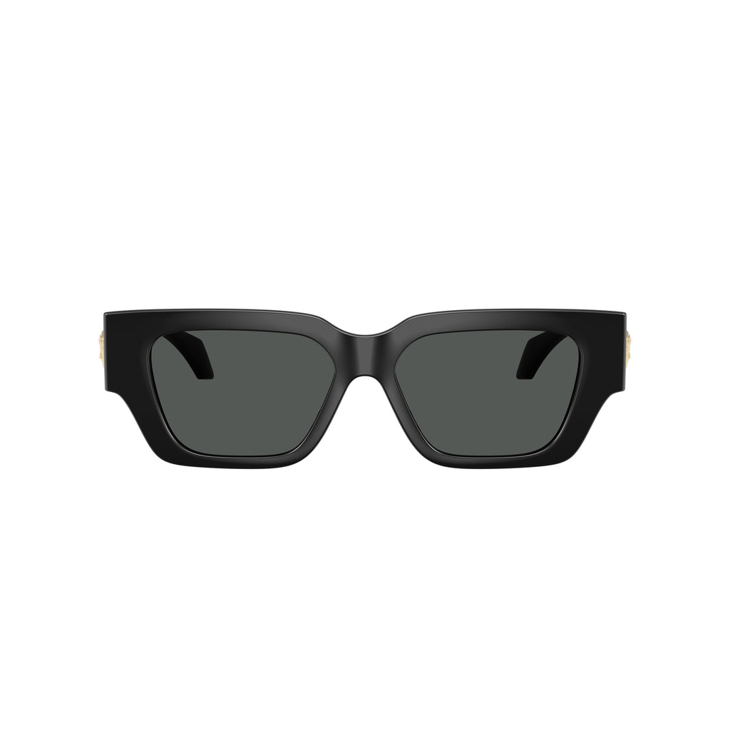 0ve4497u Rectangular Sunglasses