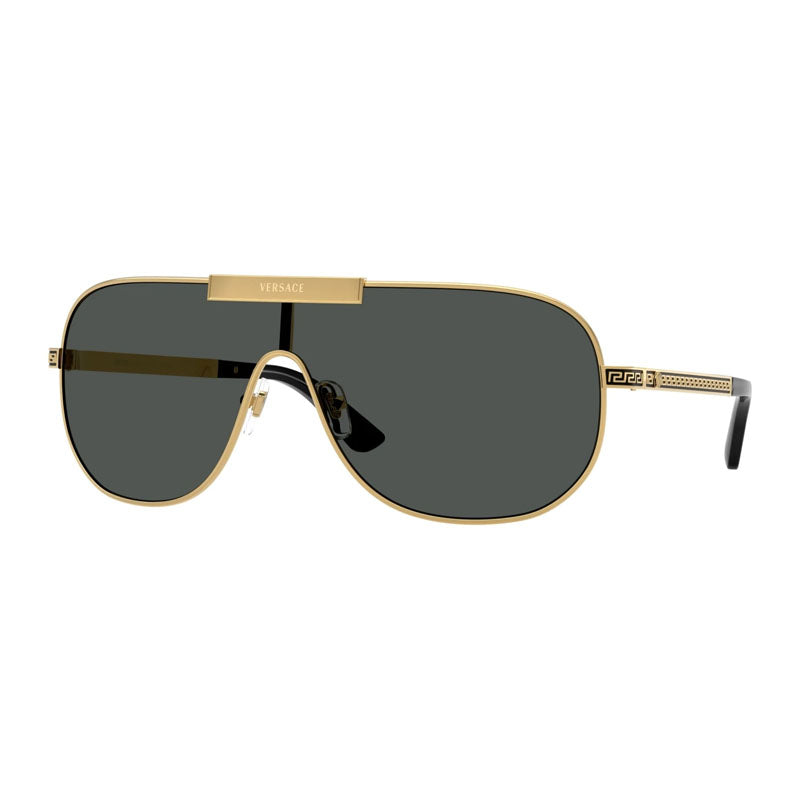 VE2293 1002/87 Gold/Grey