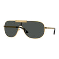 VE2293 1002/87 Gold/Grey
