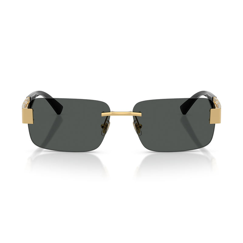 VE2298 100287 Gold/Dark Grey