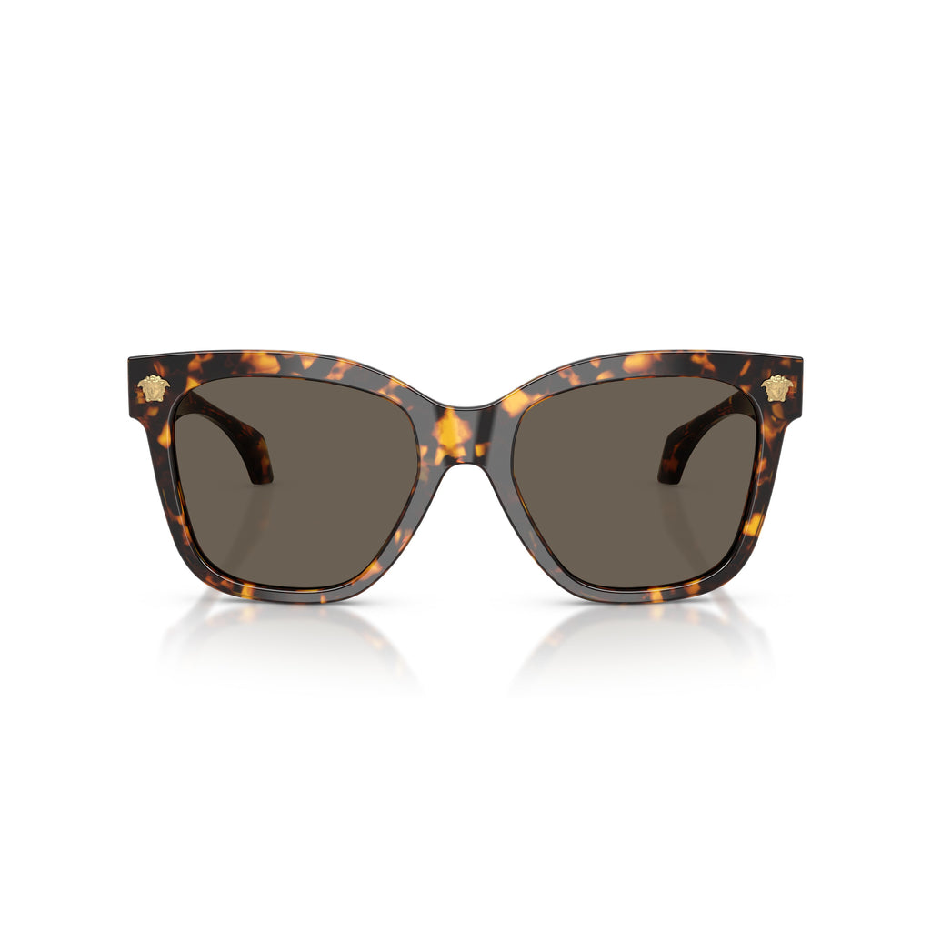0ve4511 Oversized Tortoiseshell Frame Sunglasses
