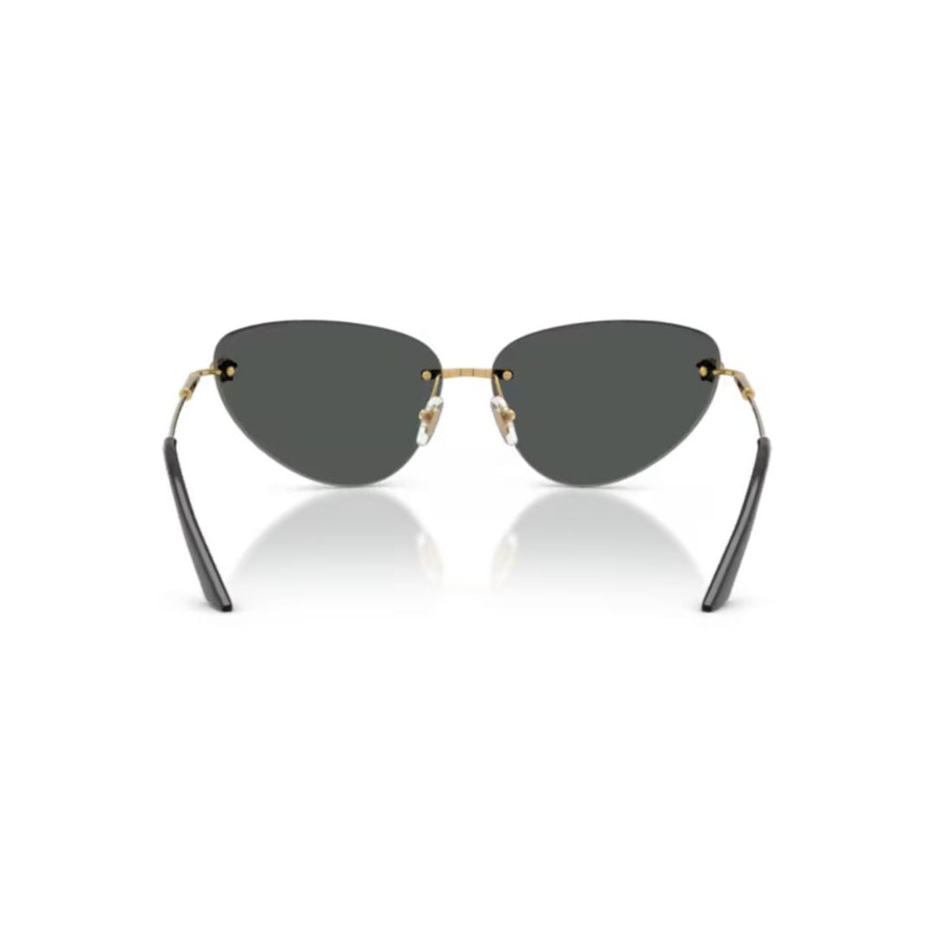 0ve2281 Cat-Eye Sunglasses