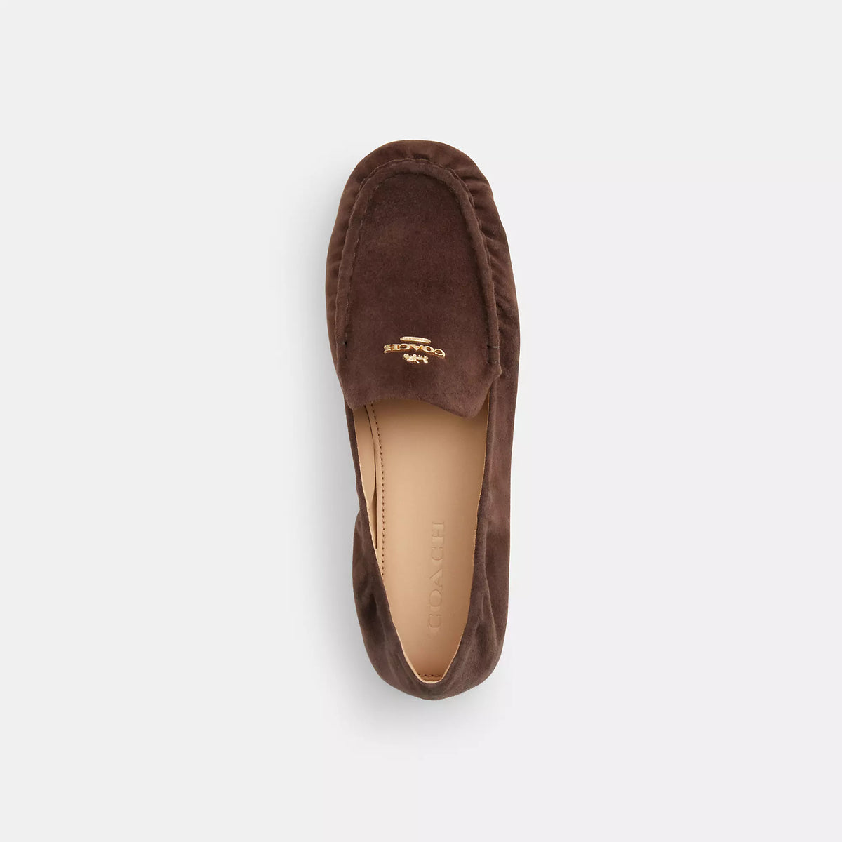 Coach Outlet Phoebe Soft Loafer