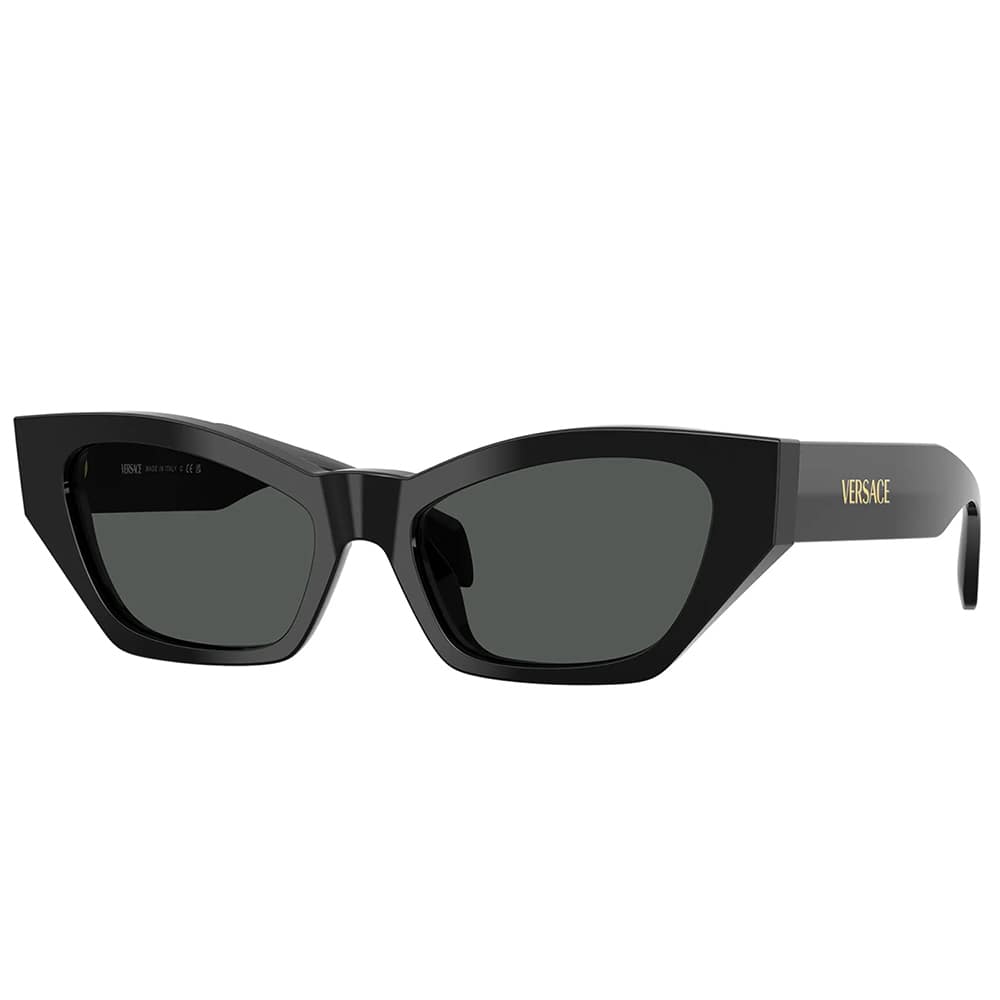 Versace  VE 4488U GB1/87 53mm Womens Cat-Eye Sunglasses